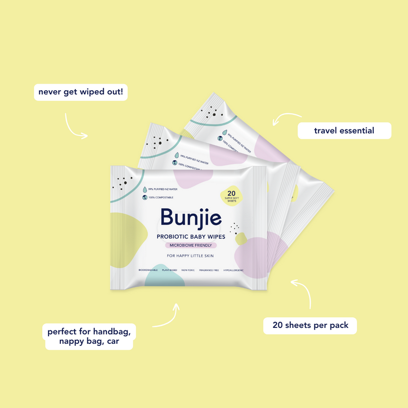 12 x 20 Pack of Travel Wipes