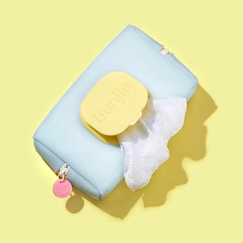 Wipes Pouch (17% OFF)