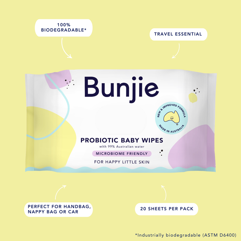 12 x 20 Pack of Travel Wipes
