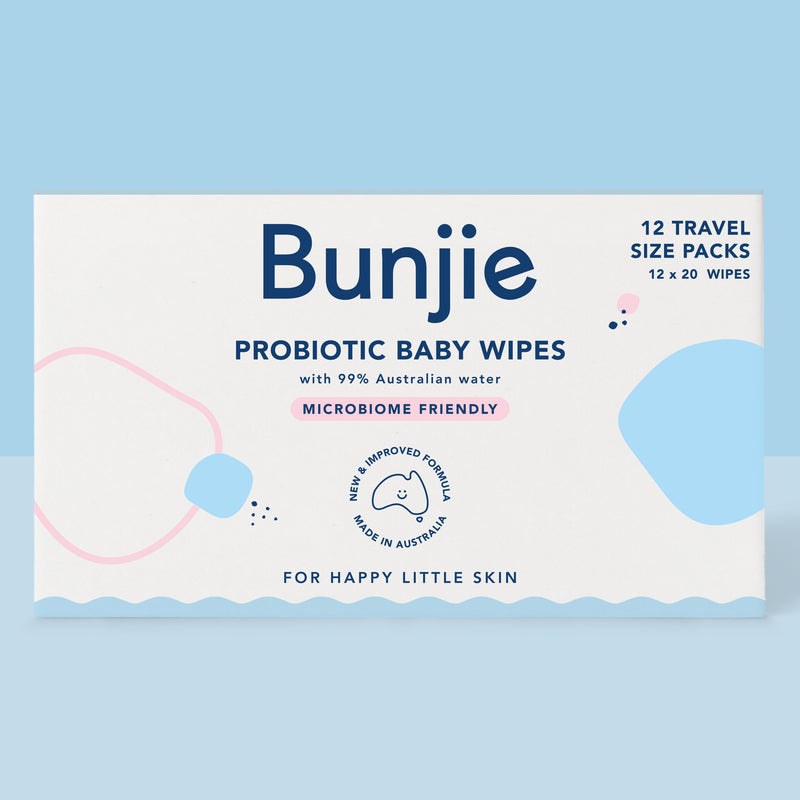 12 x 20 Pack of Travel Wipes